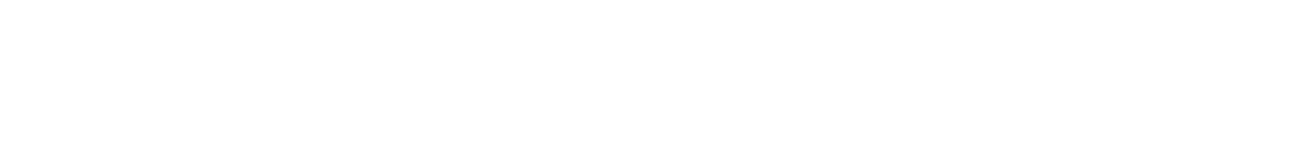 Chief Executive Group